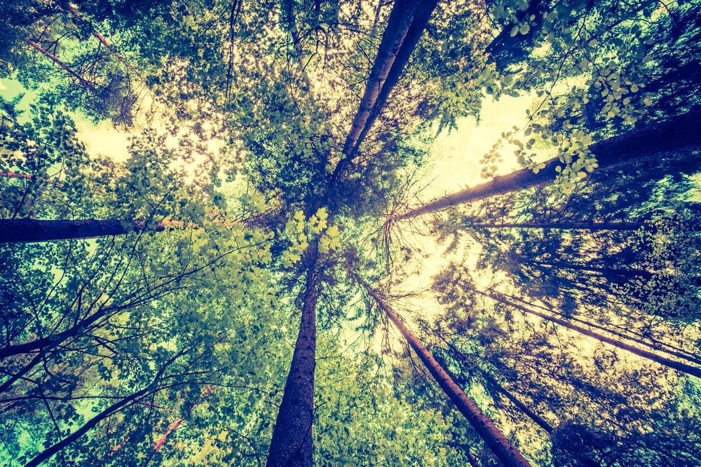 Sustainable Facility Management in the UK